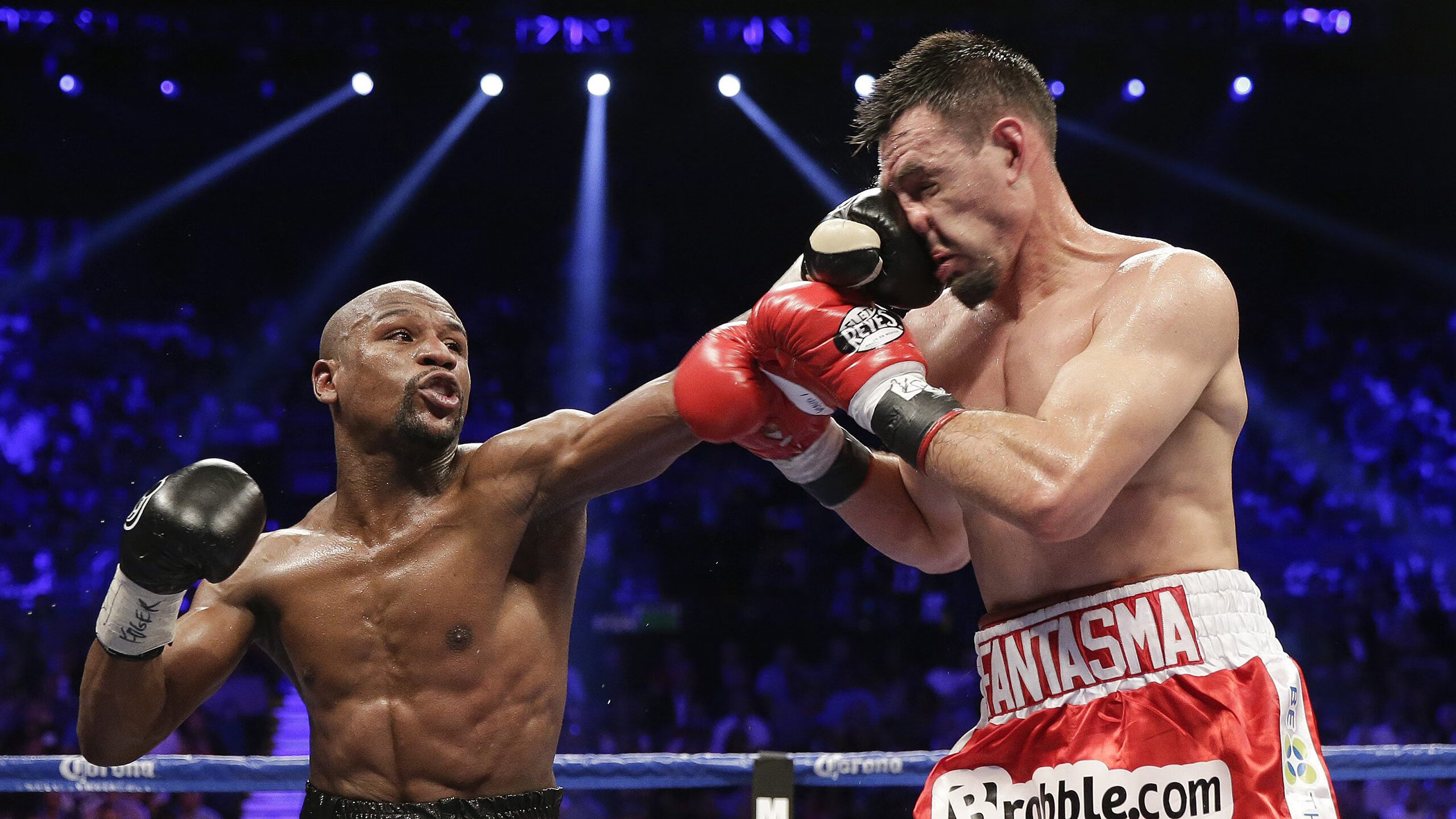 欧洲杯预选赛中的精彩时刻：全场观众欢腾不已，欧洲杯预选赛情况