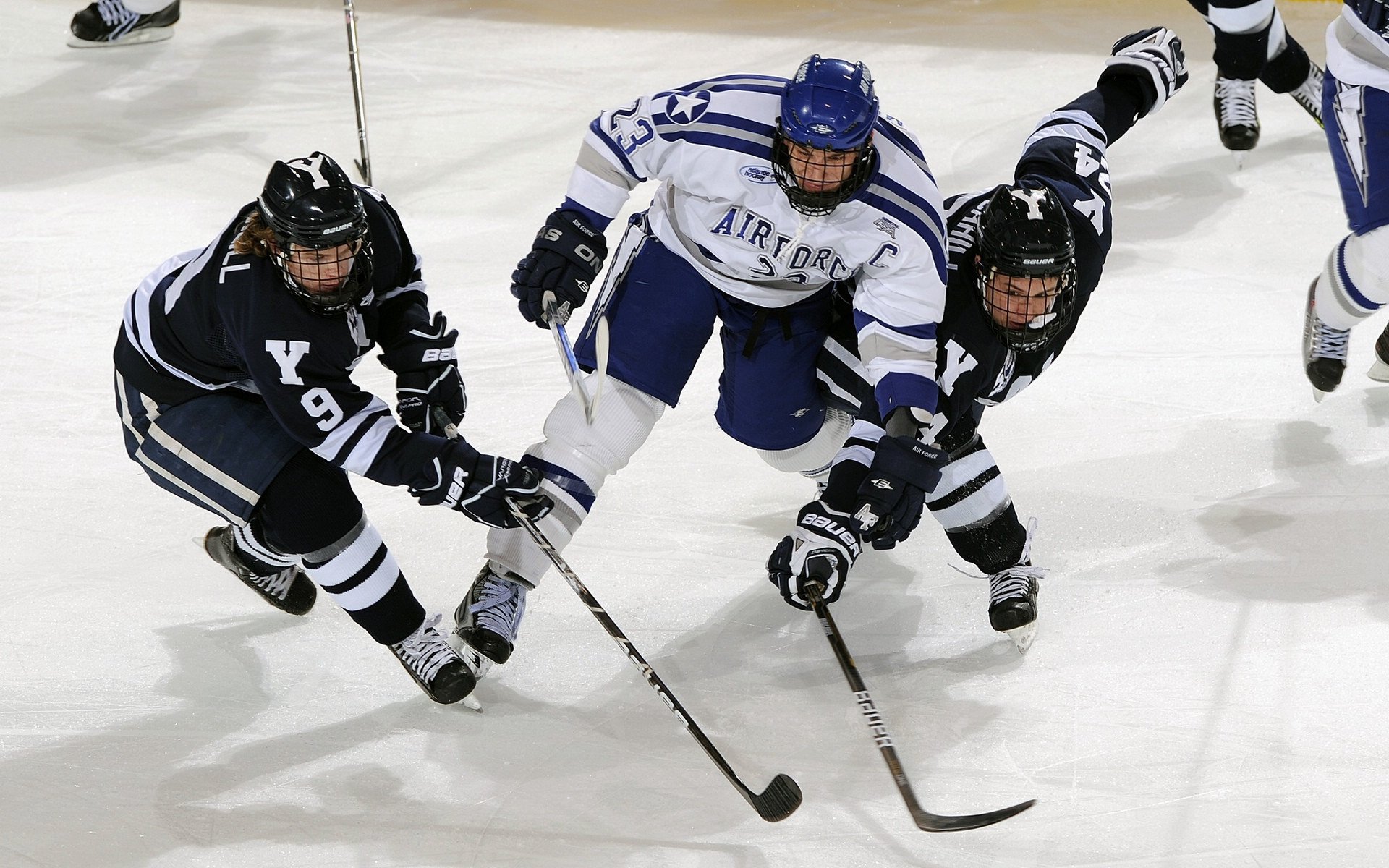 足协宣布新规则，赛场公平竞赛再升级，足协宣布新规则,赛场公平竞赛再升级的通知